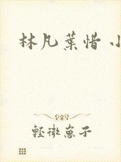林凡叶惜 小说