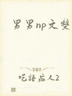 男男np文双性封面