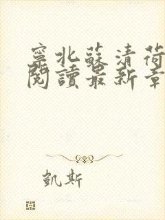 宁北苏清荷免费阅读最新章节笔趣阁