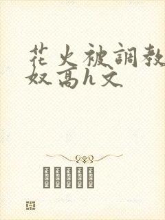 花火被调教成肉奴高h文