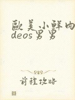 欧美小鲜肉videos男男