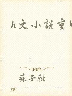 h文小说重口封面