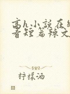 高h小说在线观看短篇辣文