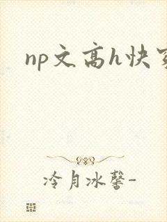 np文高h快穿