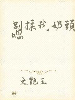 别揉我奶头啊～嗯