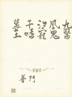 慕千汐凰九夜邪王嗜宠鬼医狂妃