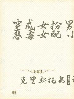 穿成女扮男装的恶毒女配 小说