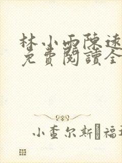 林小雨陈远小说免费阅读全文封面