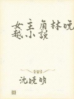 女主角林晚的穿越小说封面
