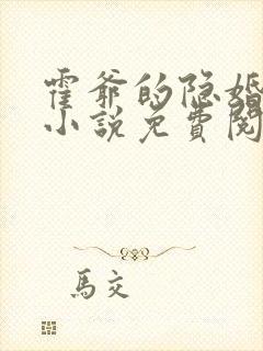 霍爷的隐婚暖妻小说免费阅读封面