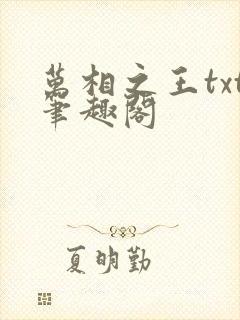 万相之王txt笔趣阁