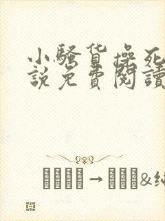 小骚货操死你小说免费阅读封面