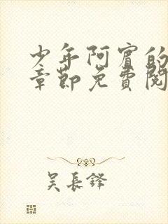 少年阿宾的最新章节免费阅读