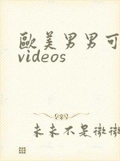 欧美男男可播放videos封面