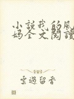 小说我的风流妈妈全文阅读