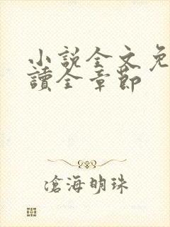 小说全文免费阅读全章节