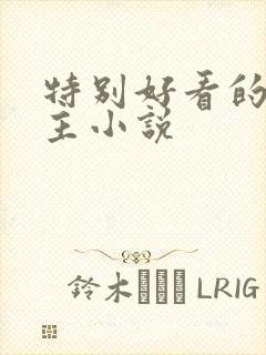 特别好看的双男主小说