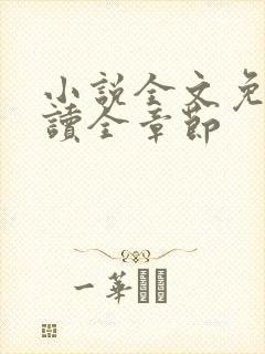 小说全文免费阅读全章节