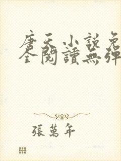 唐天小说免费大全阅读无弹窗