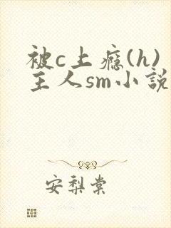 被c上瘾(h)主人sm小说封面