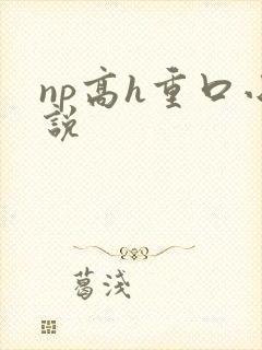 np高h重口小说
