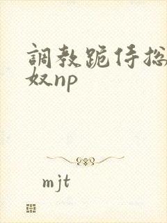 调教跪侍总攻众奴np