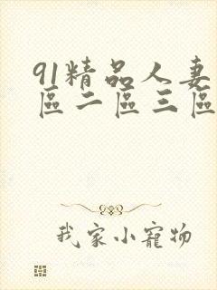 91精品人妻一区二区三区中文字幕