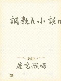 调教h小说np