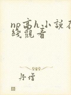 np高h小说在线观看