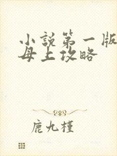 小说第一版主网母上攻略封面