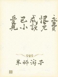 爱已成恨永不相见小说免费阅读