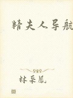 精夫人导航封面