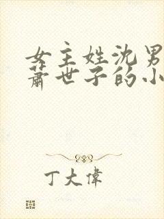 女主姓沈男主姓萧世子的小说