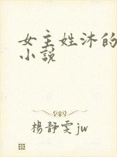 女主姓沐的现代小说