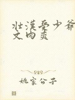 壮汉受少爷攻h文肉爽封面