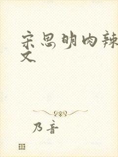 宋思明肉辣文h文