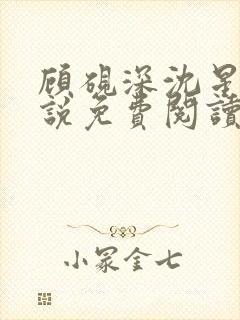 顾砚深沈星瑶小说免费阅读最新章节