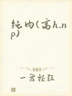 纯肉(高h.np)封面