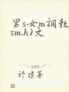 男s女m调教(sm,h)文