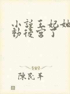 小说王妃她又轰动后宫了