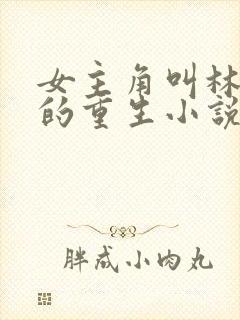 女主角叫林清婉的重生小说