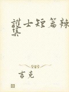 护士短篇辣文合集