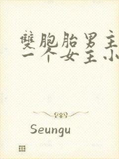 双胞胎男主共享一个女主小说封面