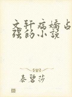 文轩病娇占有欲强的小说封面