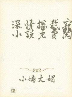 深情总裁宠不停小说免费阅读