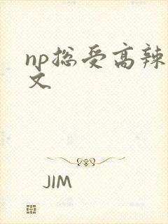 np总受高辣h文