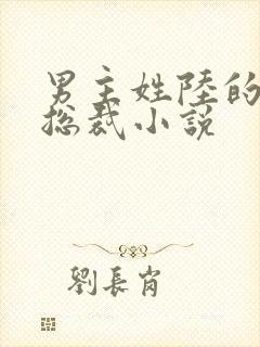 男主姓陆的豪门总裁小说