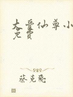 大爱仙尊小说版免费