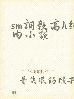sm调教高h纯肉小说