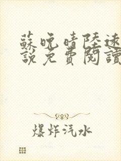 苏晚晴陆远洲小说免费阅读最新章节封面